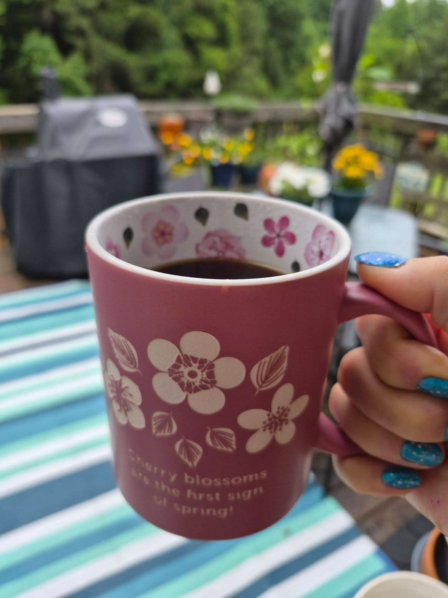 Happy Tuesday!

I'm in full speed mode today and getting ready to get on my bike. 

Make your day terrific!

I love flowers no matter whet they are!