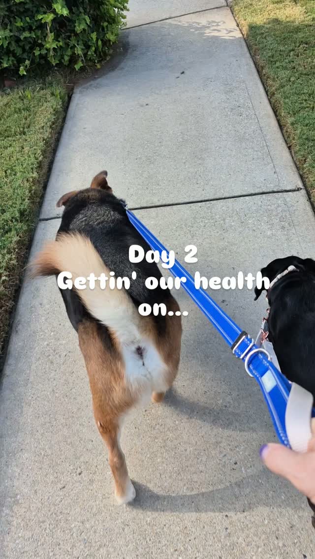 Happy Thursday!
Another wonderful walk.

I'm thankful for the health to keep moving!

What are you thankful for today?
#beblessed