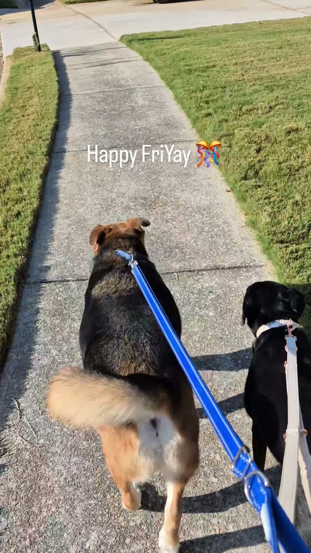 Have a fabulous Friday and wonderful weekend!
